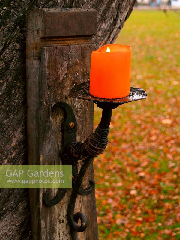 Candle holder on tree trunk