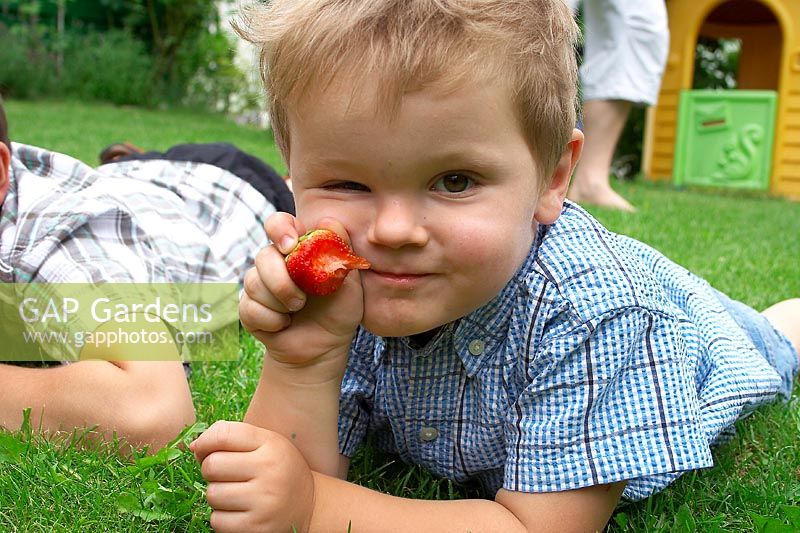 Boy eats Strawberry in the garden