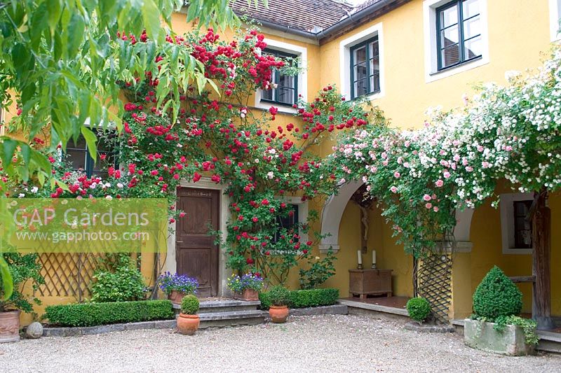 Inner courtyard in summer with roses and patio plants