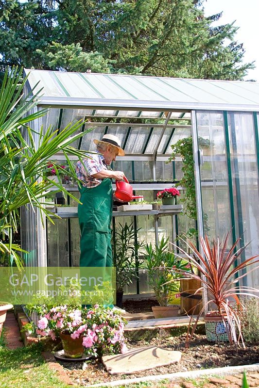 Gardener working in the glasshouse