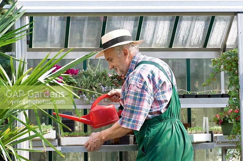 Gardener working in the greenhouse