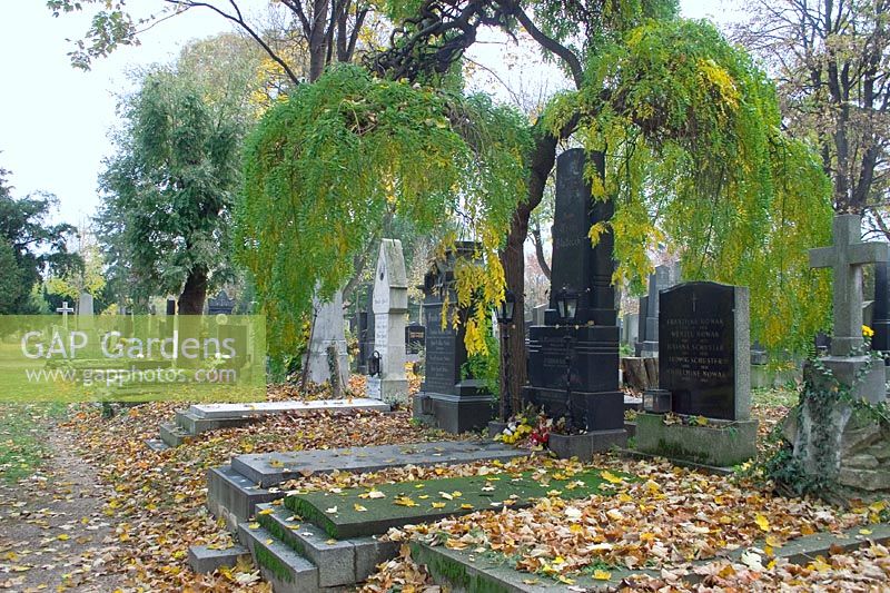 Allhallows / cemetery, graves