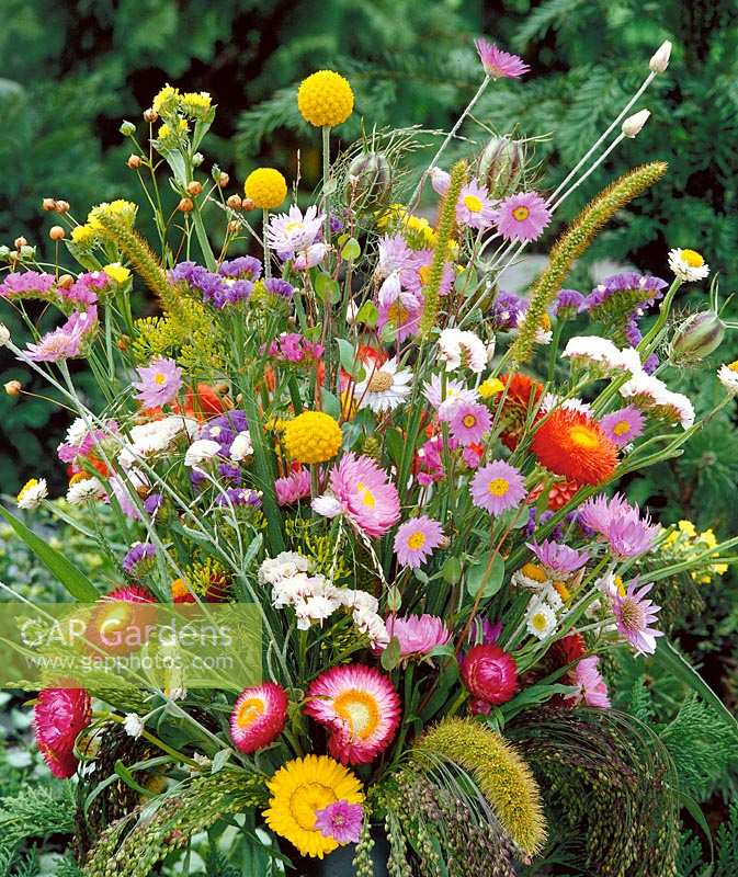 Trockenblumen Mischung / Bouquet