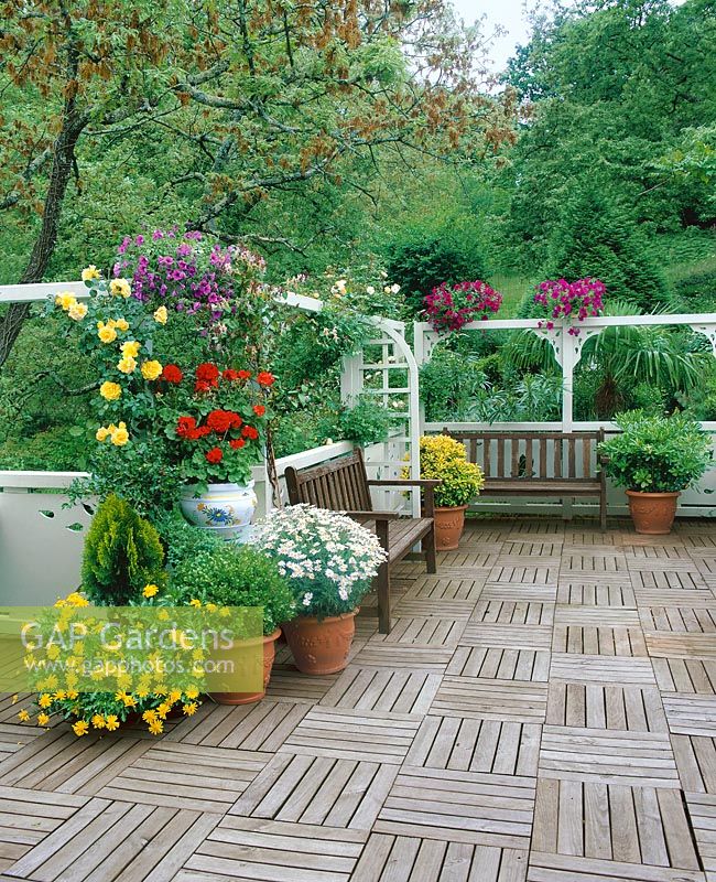 Terrasse Kübelpflanzen und Rosen