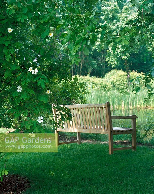 Gartenbank in der grünen Natur