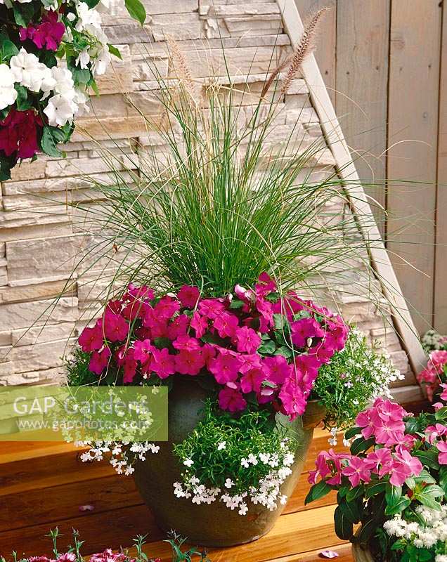Plant container with annuals