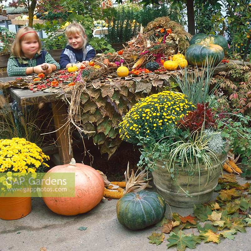 Herbst Gestaltung mit Kürbissen, Blumen / Kinder