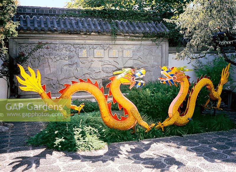 Chinesischer Drache / Chinese Dragon