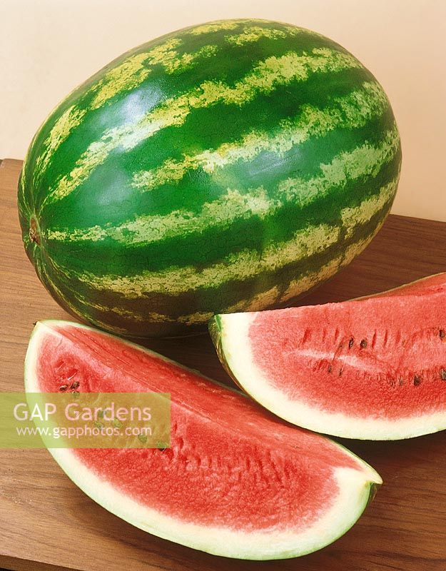 Wassermelone HEAVY WEIGHT