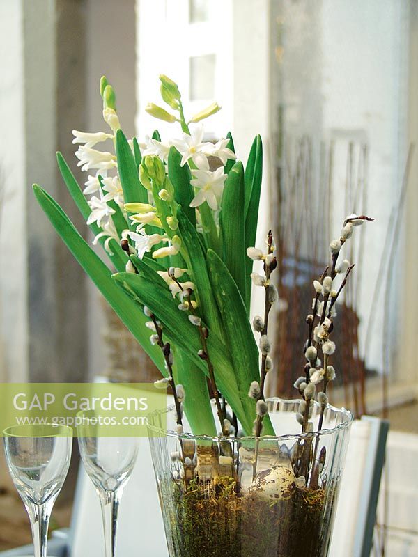 Easter decoration with white Hyacinth