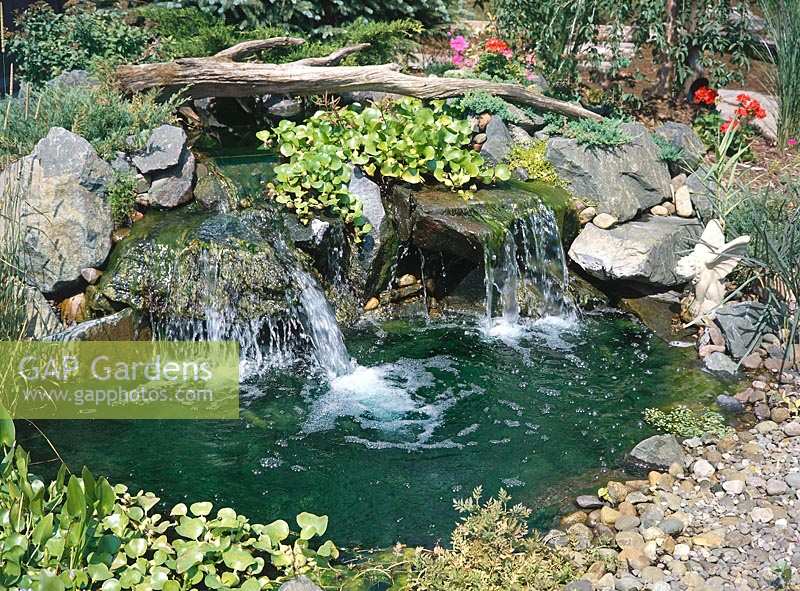Teich mit Wasserpflanzen und kleiner Wasserfall