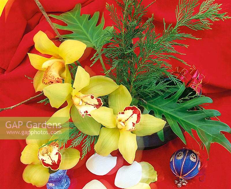 Weihnachtsdekoration mit Orchideen