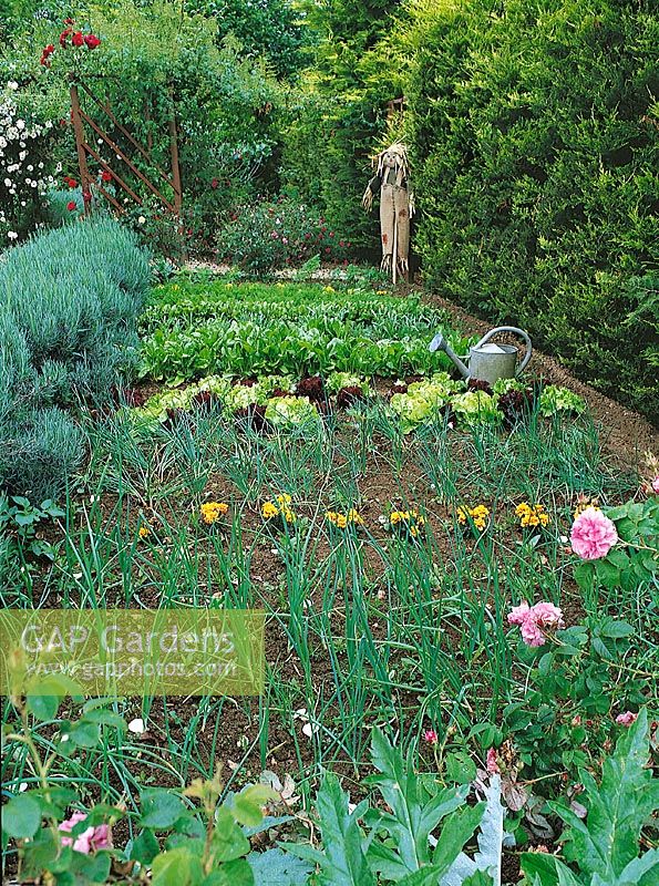 Vegetable garden with flowers