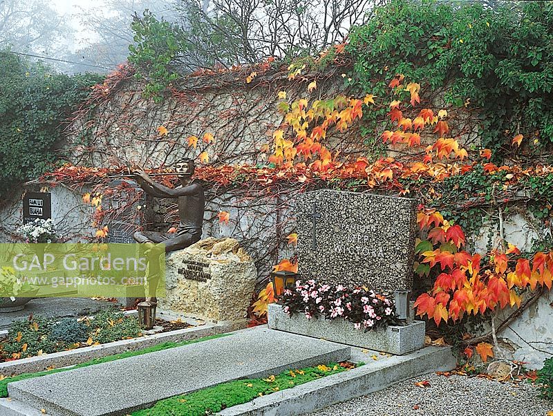cemetery in autumn and memorial