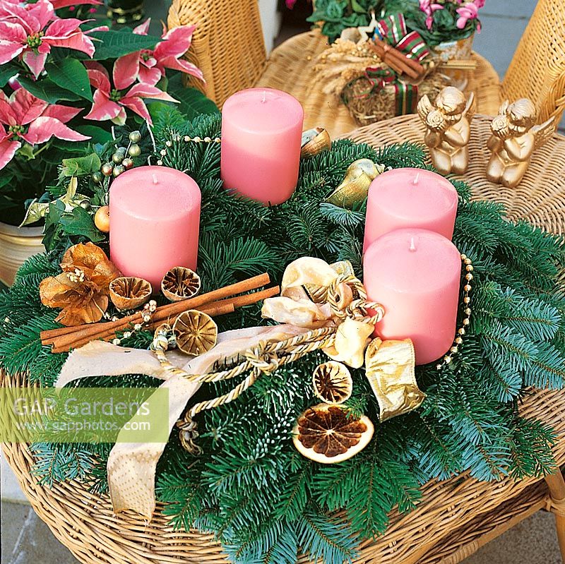 Adventskranz mit rosa Kerzen, getrocknete Zitronenschalen und Zimtstangen