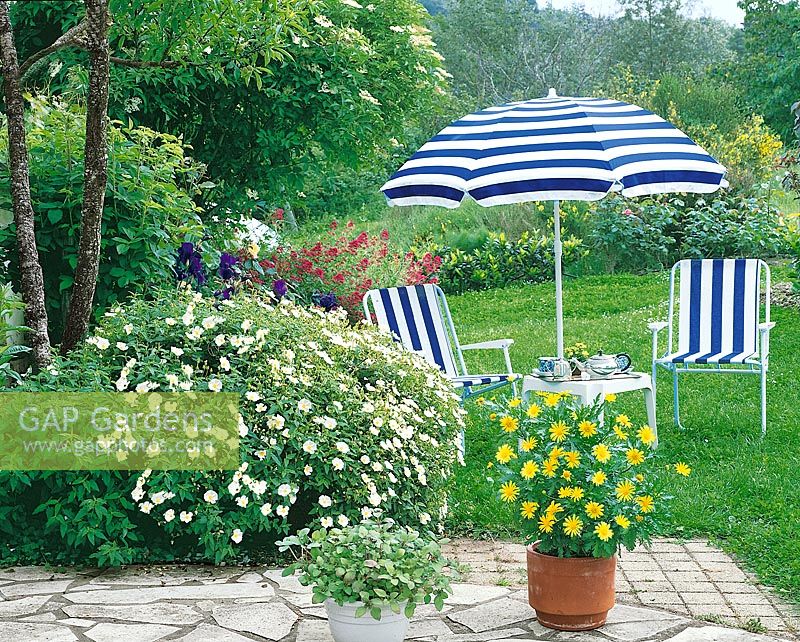 Terrace with summerflowers an garden furniture