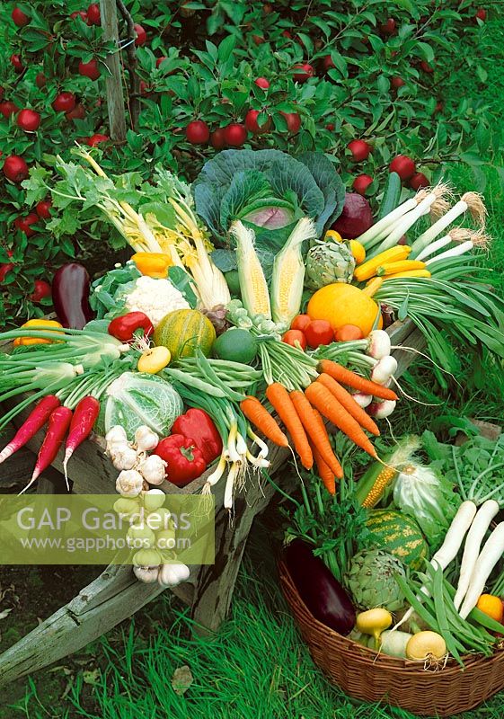 Gemüse im Karren und Korb