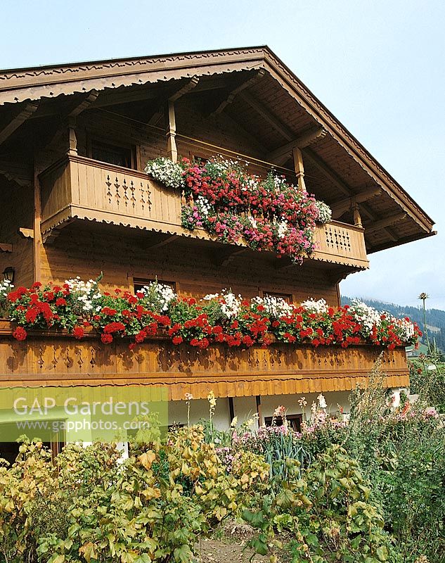 Balkonbepflanzung Landhaus / Rustikal