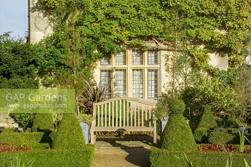 The Abbey House, Malmesbury, Wiltshire, UK ( Pollard ). Autumn in large garden with clipped Yew hedging and topiary