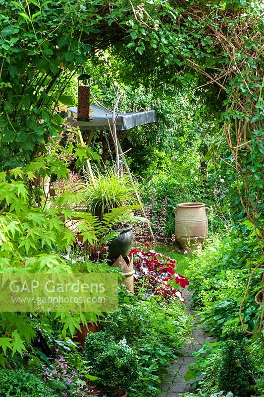 Helen Banbury's garden, Bristol, UK. small town garden, contemporary design and packed with plants,( PR available )