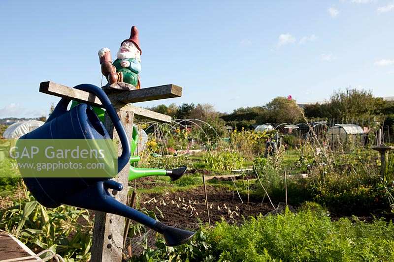Watering can stand on allotment