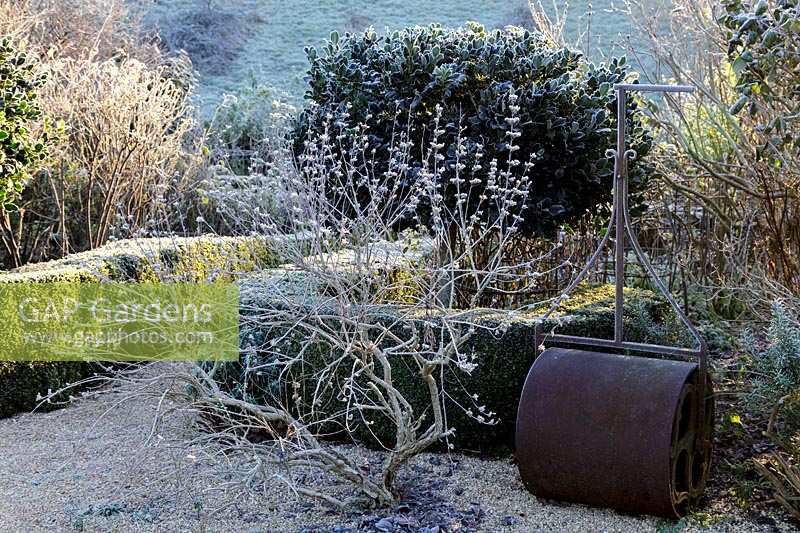 Frosty winter morning at Hanham Court Gardens, Bristol