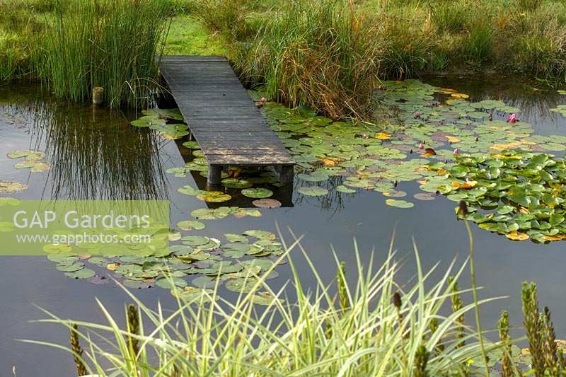 Hookhill Plantation, Devon, UK. ( The Big Grass Company, Alison and Scott Evans  ) large natural pond with wooden 'jetty'