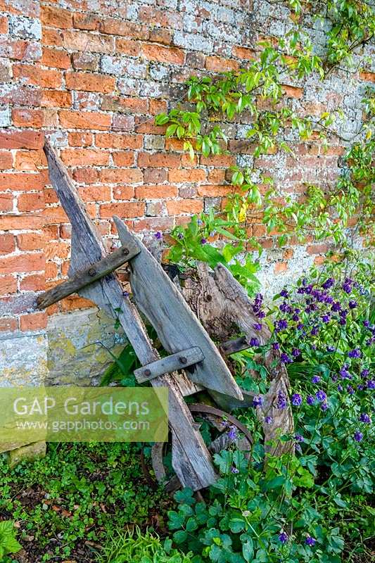 Cerney House Gardens, Gloucestershire, UK. ( Sir Michael and Lady Angus ) Walled kitchen garden, ancient wooden wheelbarrow leaning against wall