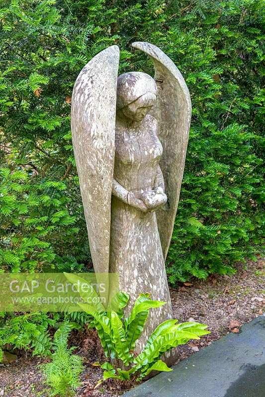 Caervallack, Cornwall, UK. ( McClary/Robinson ) Artists garden in summer, carved Angel against yew hedge