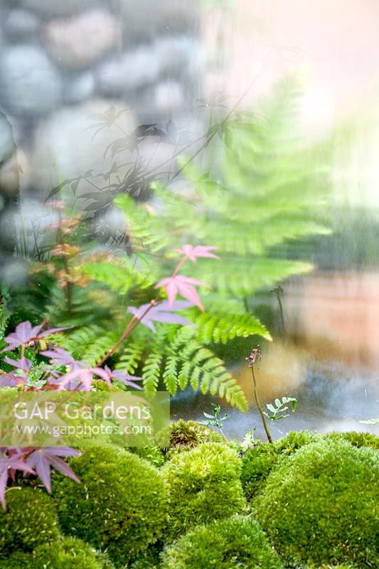 Chelsea Flower Show 2007, 'Un Tei' ( AOA Corp. and Ishihara Kazayuki ) view through window in Japanese garden
