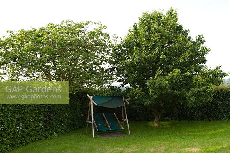 Bourton House Garden, Glos., UK ( Paice ) swing seat beneath trees
