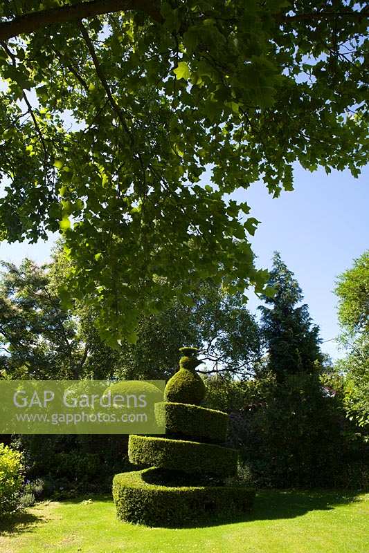 Watcombe Garden, Somerset, UK. Summer, topiary,  shaped hedging