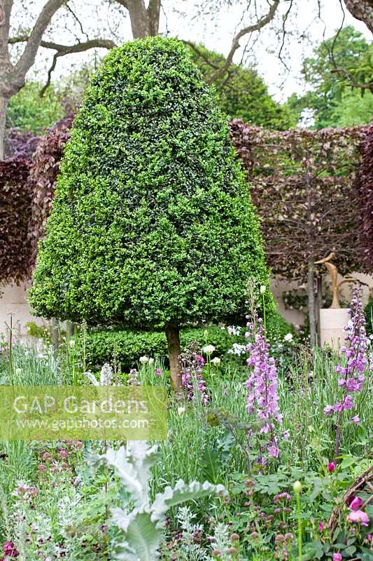 Formal topiary in The Laurent-Perrier Bicentenary Garden, des. Arne Maynard.