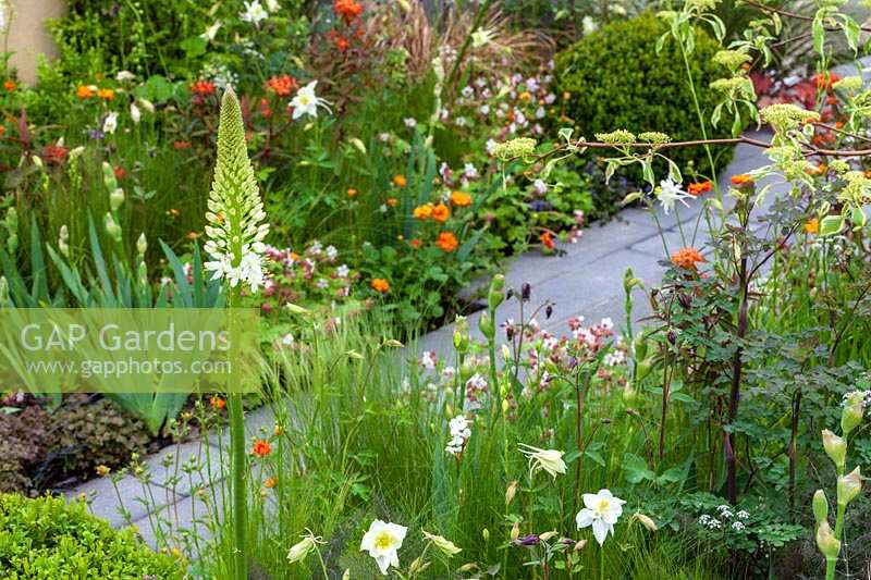 Chelsea Flower Show, 2013. The BrandAlley Garden, natural planting with slate paths