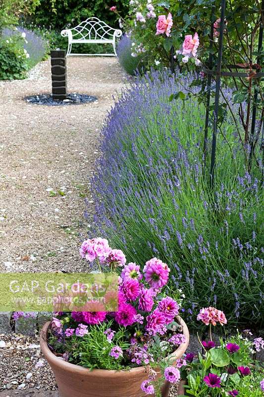 Charingworth Court, Glos, summer, Lavandula 'Folgate' and mixed annuals in pot