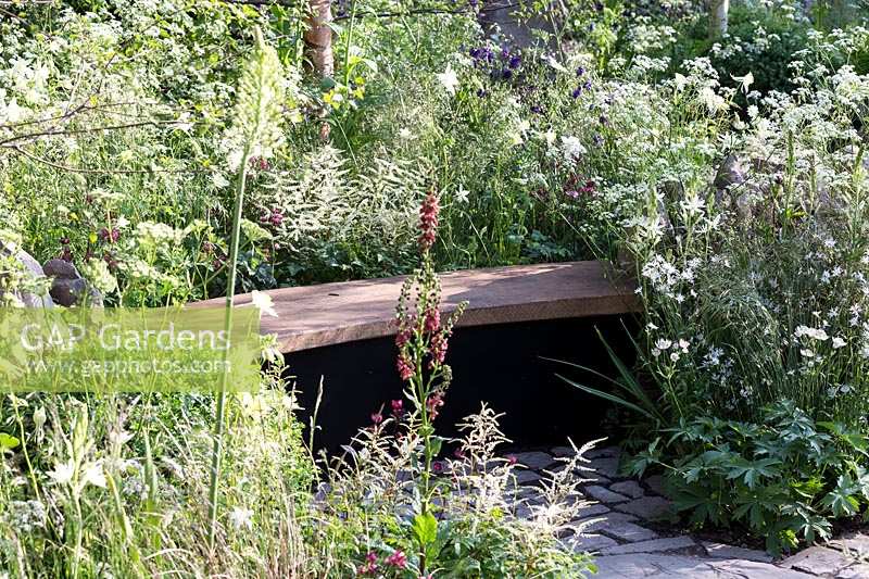 RHS Chelsea Flower Show 2014. 'Vital Earth The Night Sky Garden', designers David and Harry Rich. Simple wooden bench .  