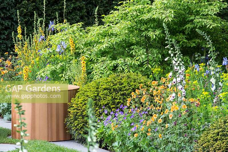 Colourful informal flower borders in The Homebase Garden - Urban Retreat, at Chelsea Flower Show 2015