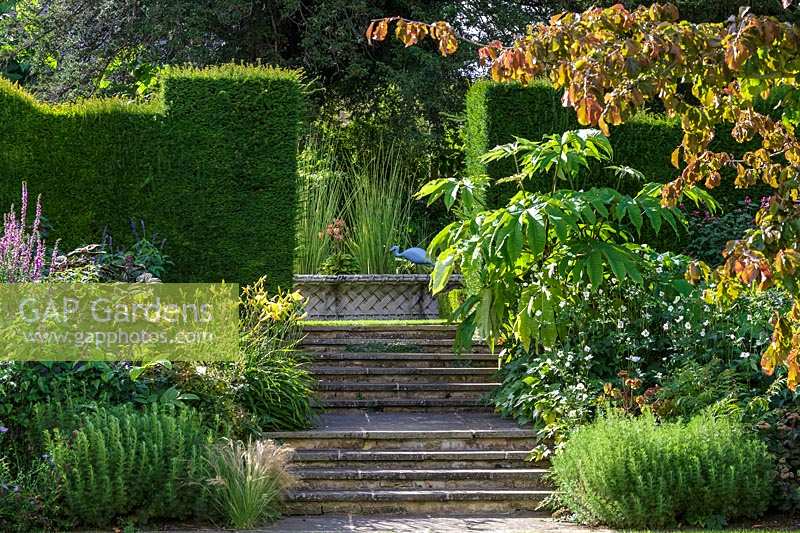 Bourton House Garden, Gloucestershire. Mid summer. Gap in Yew hedge leading to the knot garden