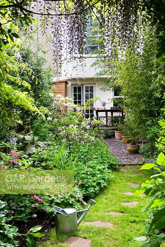 24 bellevue Crescent, Bristol, UK ( owner M. Bolton ) small town garden with Wisteria arch and stepping stone path