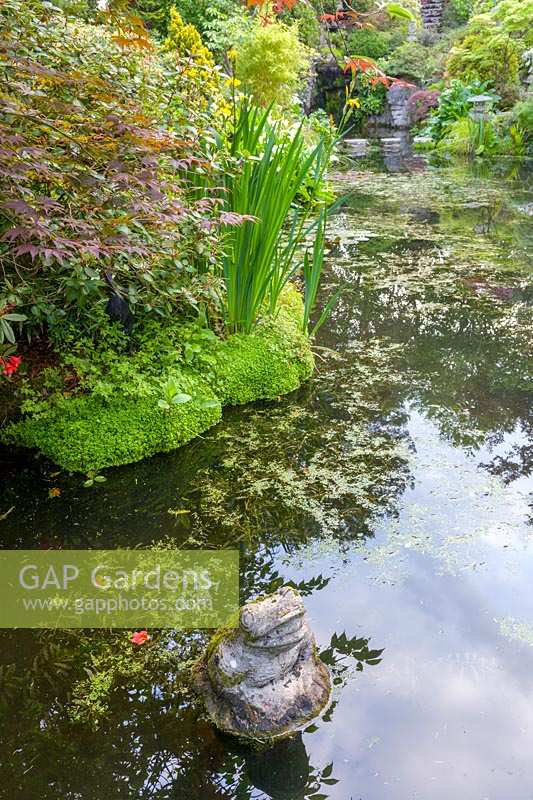 Compton Acres, Dorset, UK. The Japanese themed garden, pond