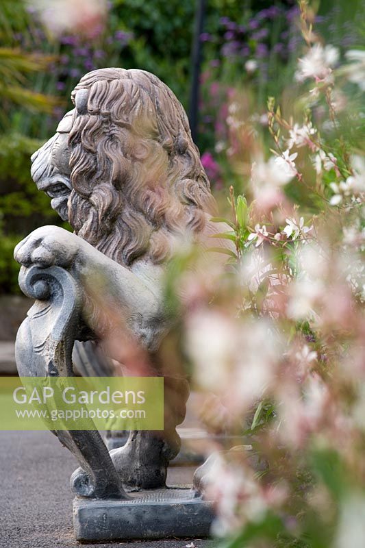 Ornate lion in summer garden