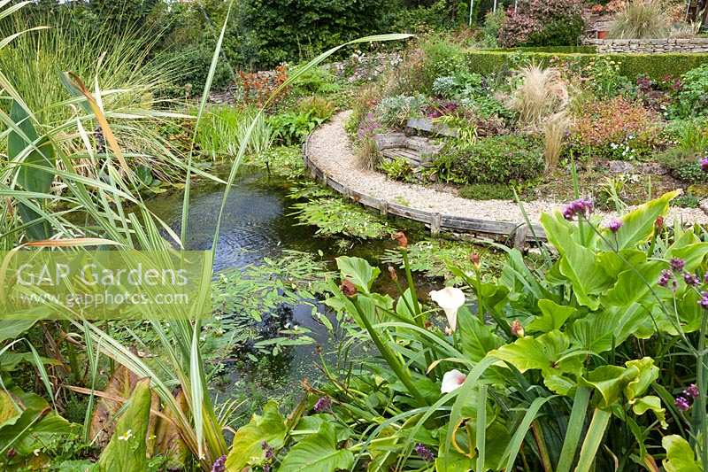 Derry Watkins Garden at Special Plants, Bath, UK well stocked medium sized pond