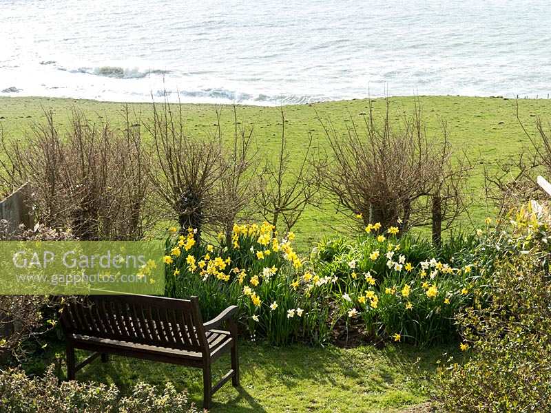 Lovely spring garden with sea view