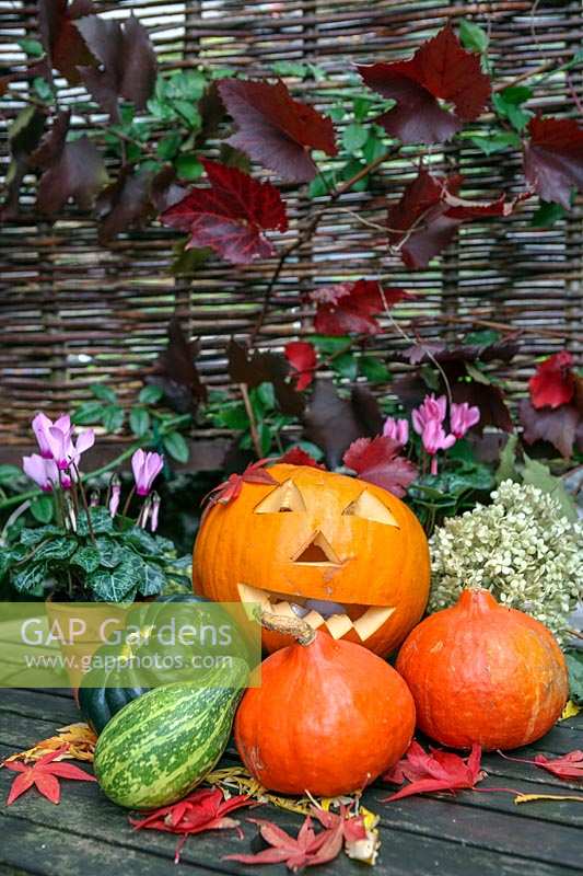 Halloween, Gourds and pumpkins