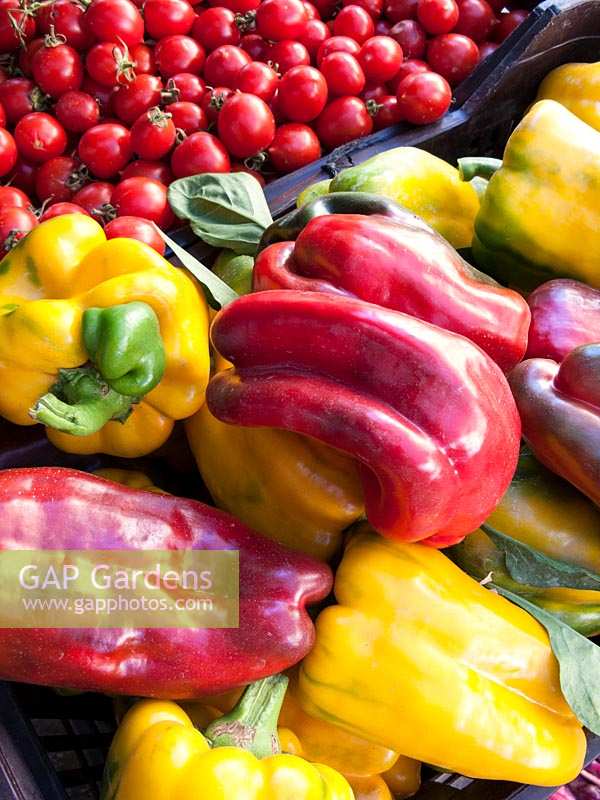 Organic Sweet Peppers and tomatoes for sale in Italy