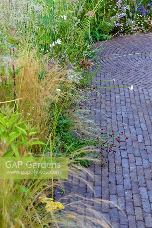 Hampton Court Flower Show 2014, the Macmillan Garden, des. Green Edge. Brick paved patio with grasses edging