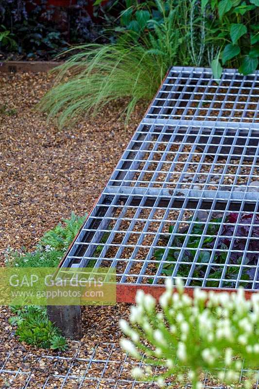 Hampton Court Flower Show 2014, the 'Space to Connect and Grow' Garden, des. Jeni Cairns. Metal grid path in contemporary garden