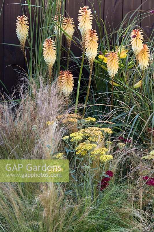 Hampton Court Flower Show 2014, the Hedgehog St Garden, des. Tracy Foster. Stipa tenuissima and Kniphofia