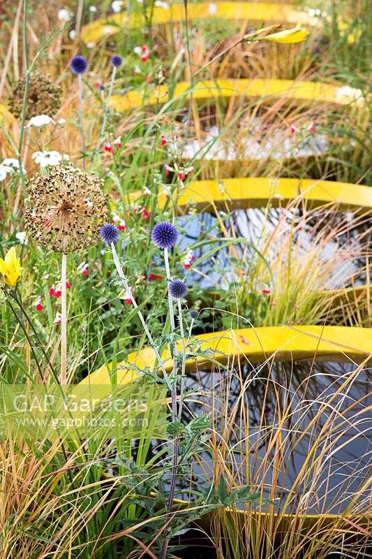 Hampton Court Flower Show, 2017. Kinetica Garden, des. Senseless Acts of Beauty. Small circular ponds reflecting grasses and seed heads