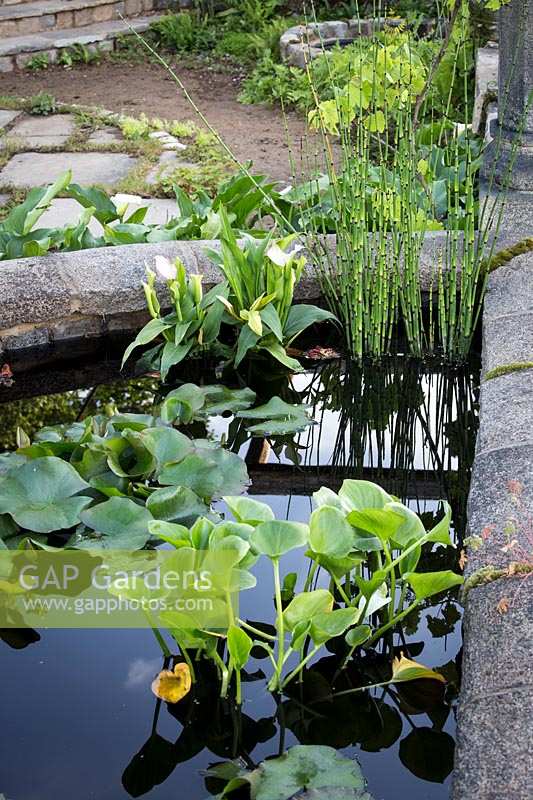 Hampton Court Flower Show, 2017. The Pazoâ€™s Secret Garden, des. Rose McMonigall. Shady small garden pond with lily pads and Equisetum